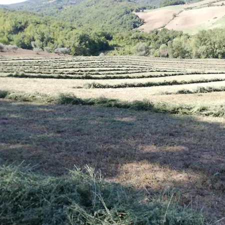 Casa A Con Vista Gran Sasso
